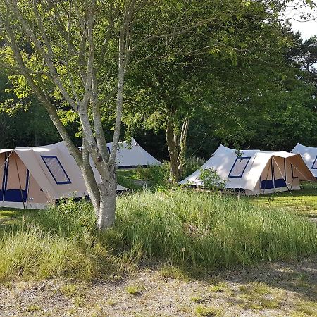 Ameland Tentenverhuur Atv 巴勒姆 外观 照片