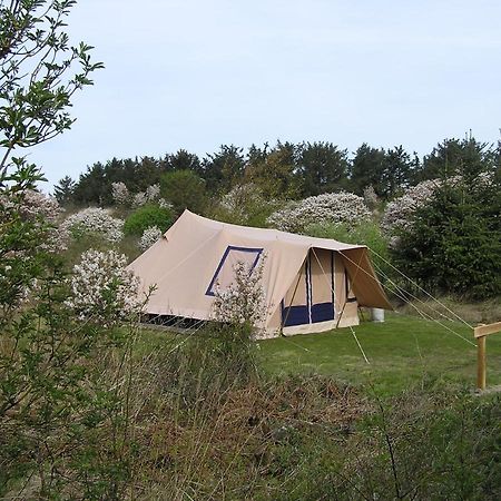 Ameland Tentenverhuur Atv 巴勒姆 外观 照片