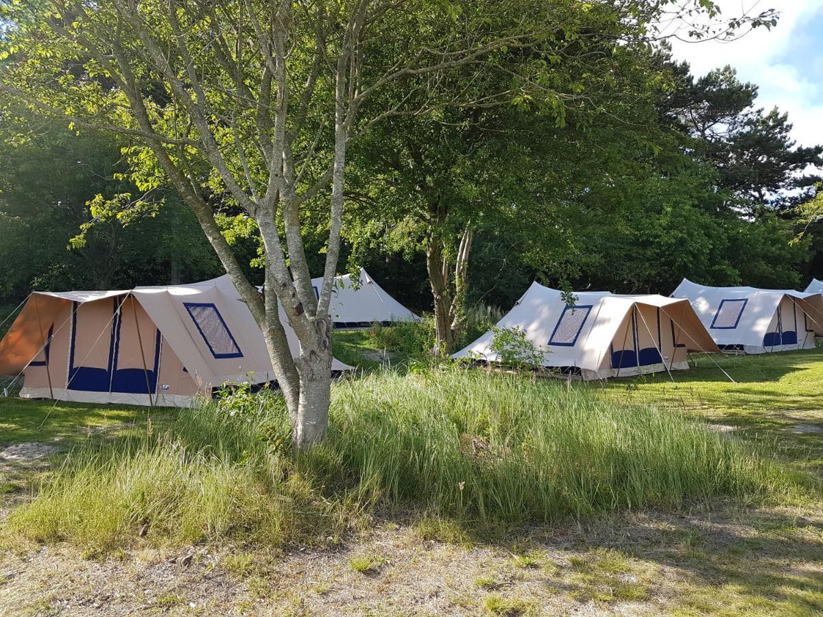 Ameland Tentenverhuur Atv 巴勒姆 外观 照片