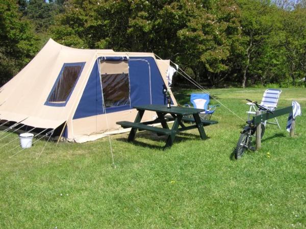 Ameland Tentenverhuur Atv 巴勒姆 外观 照片