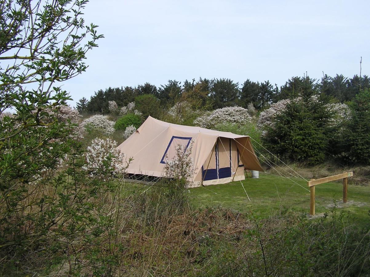 Ameland Tentenverhuur Atv 巴勒姆 外观 照片
